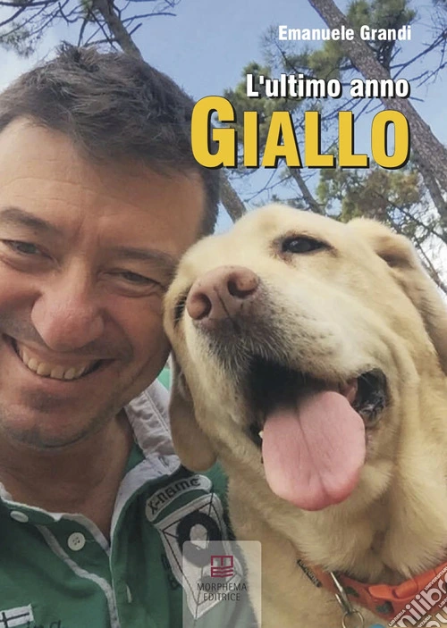 L'ultimo anno giallo