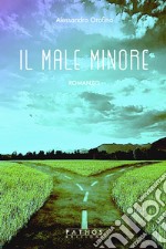 Il male minore libro