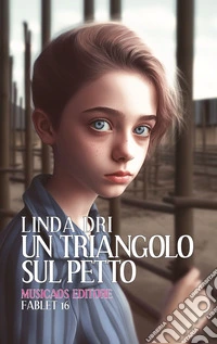 Un triangolo sul petto libro
