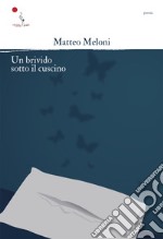 Un brivido sotto il cuscino libro