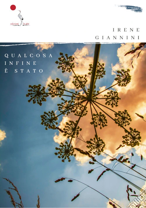 Qualcosa infine è stato