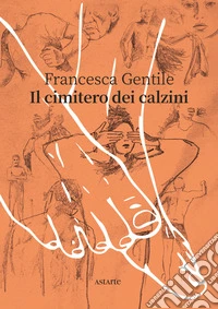 Il cimitero dei calzini libro