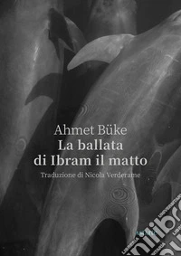 La ballata di Ibram il matto libro