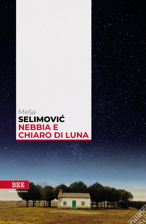 Nebbia e chiaro di luna