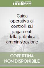 Guida operativa ai controlli sui pagamenti della pubblica amministrazione libro