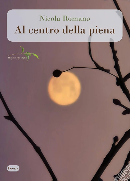 Al centro della piena