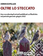 Oltre lo steccato. Una raccolta di articoli pubblicati su Filodiritto nel periodo gennaio-giugno 2022 libro