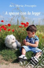 A spasso con la legge libro