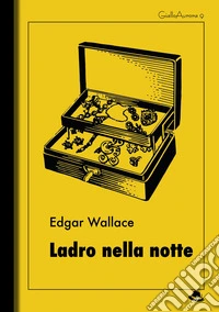 Ladro nella notte