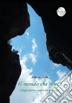 Il mondo che ronza. Cinque giorni a piedi nel paesaggio