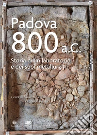 Padova 800 a.C. Storia di un laboratorio e dei suoi metallurghi libro