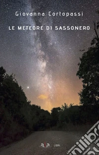 Le meteore di Sassonero libro