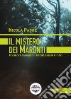 Il mistero dei Maronti. Un nuovo caso per il commissario Cirillo libro di Paone Nicola