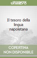 Il tesoro della lingua napoletana libro