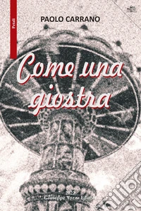 Come una giostra libro