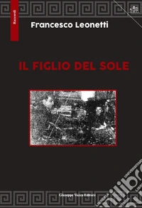 Il figlio del sole. Ediz. a caratteri grandi