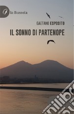 Il sonno di Partenope libro