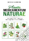 Planta medicamentum naturae. Aromaterapia, gemmoterapia e fitoterapia libro di Carbone Rocco