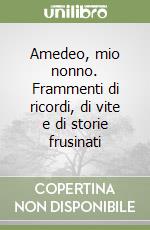 Amedeo, mio nonno. Frammenti di ricordi, di vite e di storie frusinati libro