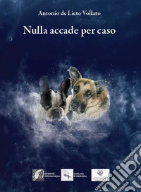 Nulla accade per caso libro