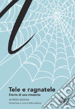 Tele e ragnatele libro