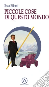 Piccole cose di questo mondo libro