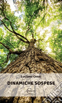 Dinamiche sospese libro