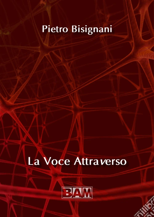 La voce attraverso