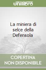 La miniera di selce della Defensola libro