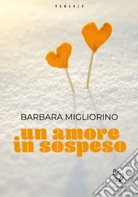 Un amore in sospeso libro