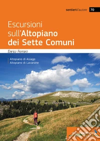 Escursioni sull'Altopiano dei Sette Comuni libro
