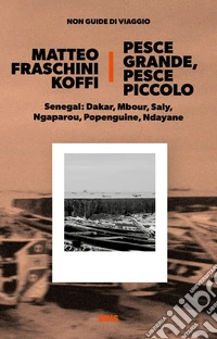Pesce grande, pesce piccolo libro