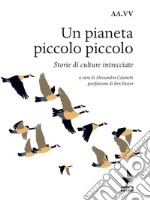 Un pianeta piccolo piccolo. Nuova ediz. libro