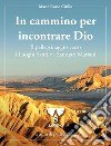 In cammino per incontrare Dio. Il pellegrinaggio verso i luoghi santi e i santuari mariani. 75 anni di pellegrinaggi. Ediz. speciale libro di Russo Cirillo Mario