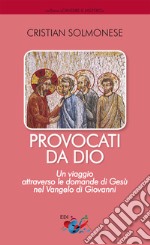 Provocati da Dio. Un viaggio attraverso le domande di Gesù nel Vangelo di Giovanni