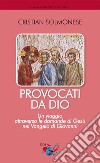 Provocati da Dio. Un viaggio attraverso le domande di Gesù nel Vangelo di Giovanni libro