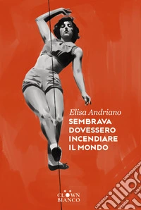 Sembrava dovessero incendiare il mondo libro