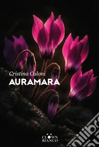 Auramara