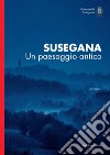 Susegana. Un paesaggio antico libro