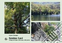 Genius loci. Trilogia del legno, dell'acqua, della pietra. Ediz. illustrata libro