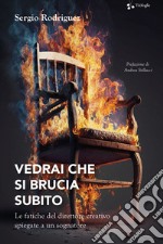 Vedrai che si brucia subito. Le fatiche del direttore creativo spiegate a un sognatore libro usato