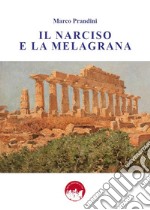 Il narciso e la melagrana libro