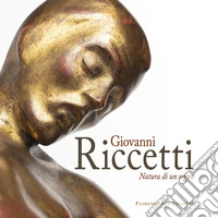 Giovanni Riccetti. Natura di un segno. Ediz. a colori libro