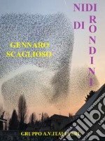 Nidi di rondini libro