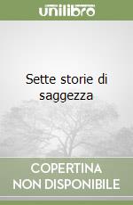 Sette storie di saggezza libro