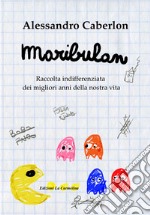 Maribulan. Raccolta indifferenziata dei migliori anni della nostra vita libro