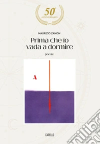 Prima che io vada a dormire libro