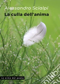 La culla dell'anima