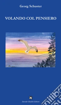 Volando col pensiero libro