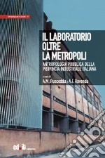 Il laboratorio oltre la metropoli. Antropologia pubblica della provincia industriale italiana libro